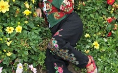 2019爱久久视频精品